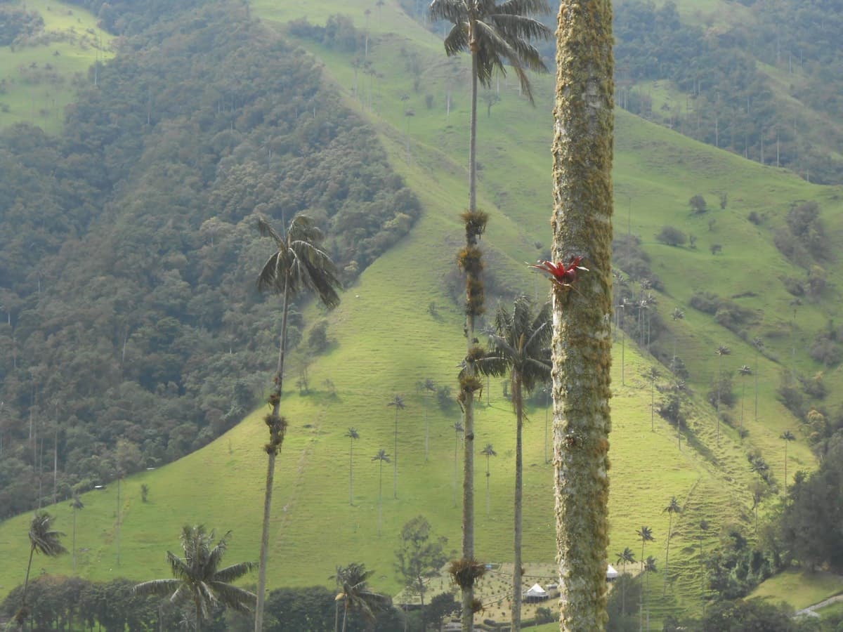 Eje Cafetero, Colombia